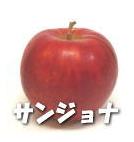 サンジョナ