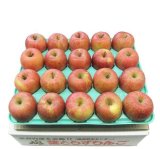 2025年産 サンふじ・王林 販売開始のお知らせ