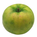 ４年ぶり！はつ恋ぐりん 販売のお知らせ