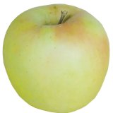 ぐんま名月 販売終了のお知らせ