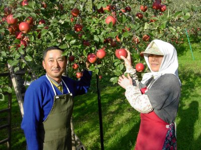生産者向け情報を発信する方法　～おちゃのこネット・記事コンテンツを使う場合～