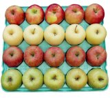 りんご４種セット（家庭用）新発売のお知らせ