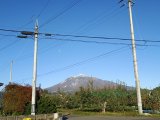 本日は快晴です