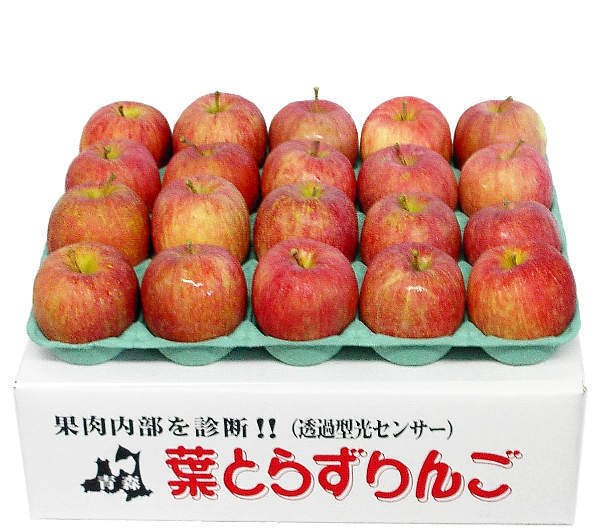画像3: 2025年産 ジュース用CA貯蔵りんご / 包装不可 / クール便 (3)