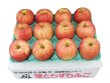 画像5: 家庭用りんご - クール便 / 包装不可 / 2024年産 (5)
