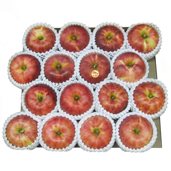 画像1: 2025年産_葉とらずりんご上糖度大玉 / 包装不可 (1)