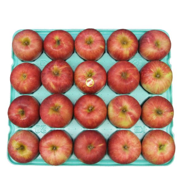 画像5: 2025年産_家庭用りんご / 包装不可 (5)