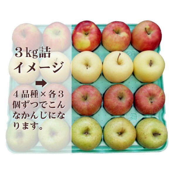 画像2: 2025年産りんご４種セット / 家庭用 / 包装不可【クール便】 (2)