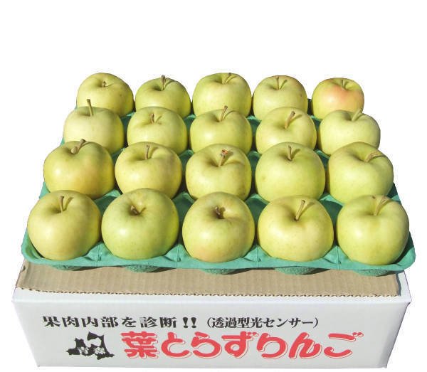 画像2: 2025年産 ジュース用CA貯蔵りんご / 包装不可 / クール便 (2)