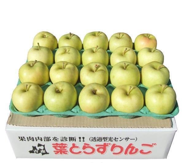 画像1: 2025年産_ジュース用りんご / 包装不可 / クール便 (1)