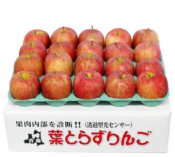 画像3: 2025年産_ジュース用りんご / 包装不可 (3)