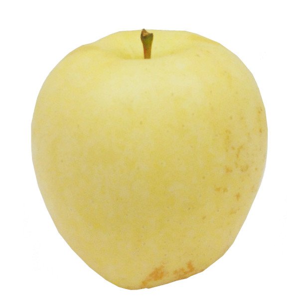 画像3: 【生産園地限定品】2025年産_樹上完熟はるか（上糖度）包装不可 (3)