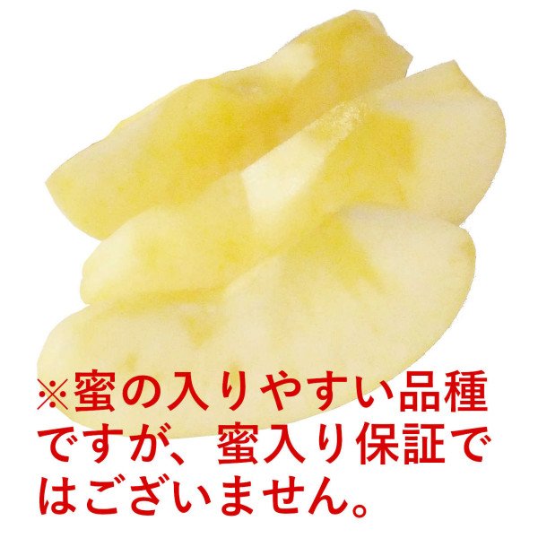 画像6: 【生産園地限定品】2025年産_樹上完熟はるか（上糖度）包装不可 (6)