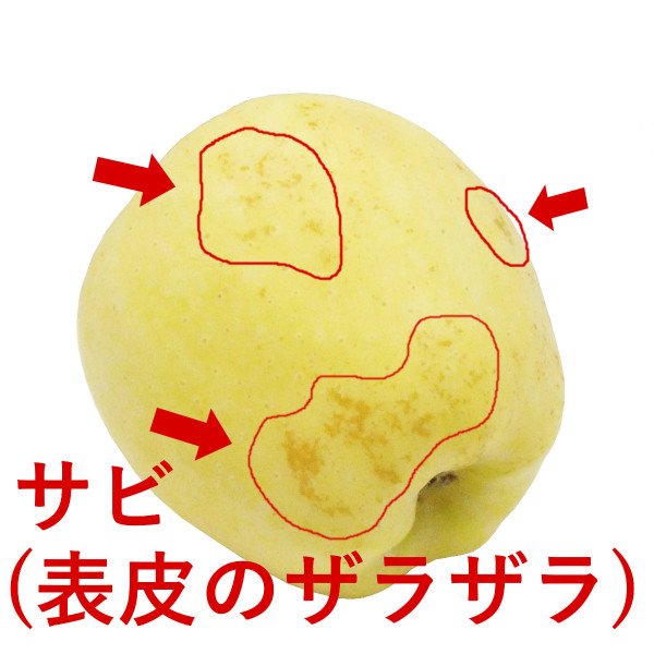 画像7: 【生産園地限定品】2025年産_樹上完熟はるか（上糖度）包装不可 (7)