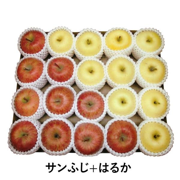 画像2: 【生産園地限定品】2025年産_樹上完熟はるか（上糖度）包装不可 (2)