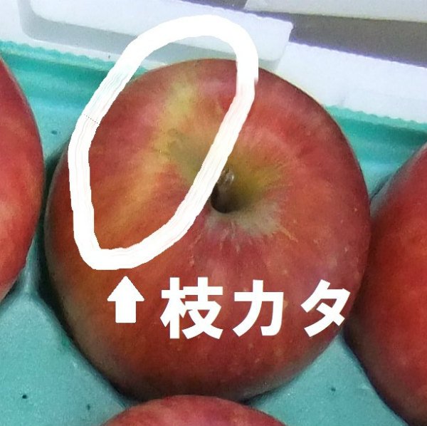 画像4: 2025年産_葉とらずりんご上糖度 / 包装不可 (4)