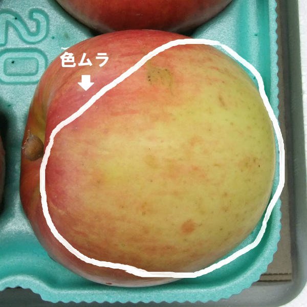 画像6: 2025年産_葉とらずりんご上糖度 / 包装不可 (6)