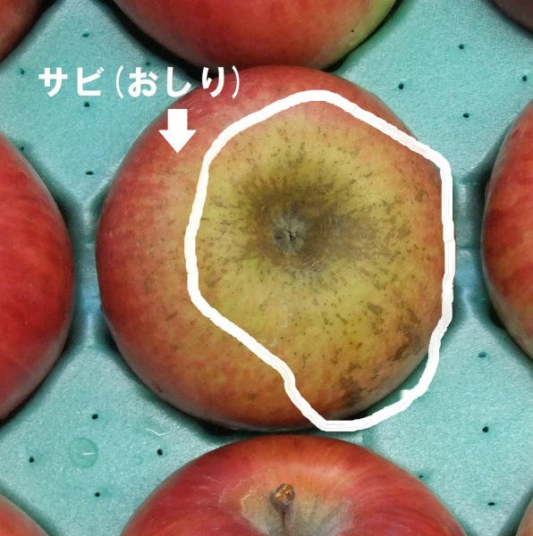 画像7: 2025年産_葉とらずりんご上糖度 / 包装不可 (7)