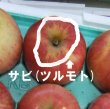 画像4: 葉とらずりんご 上糖度大玉（キャップ詰）クール便 / 包装不可 / 2024年産 (4)
