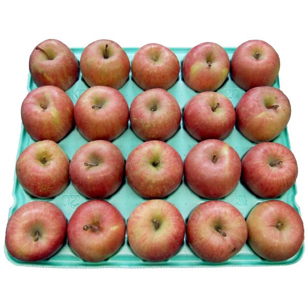 画像1: 2025年産_ジュース用りんご / 包装不可 (1)