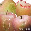 画像6: 2025年産_ジュース用りんご / 包装不可 (6)