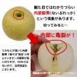 画像5: 2026年産_ジュース用りんご / 包装不可【クール便】 (5)