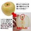 画像6: 2026年産_ジュース用りんご / 包装不可【クール便】 (6)