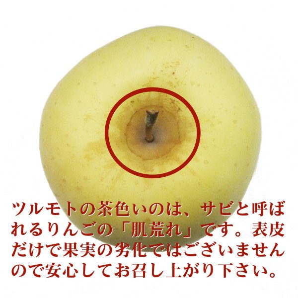 画像3: りんごセット / 青箱 / 包装不可 (3)