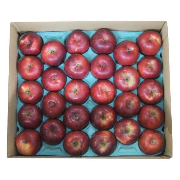 画像2: 2025年産_紅玉(こうぎょく)家庭用 / 包装不可 (2)