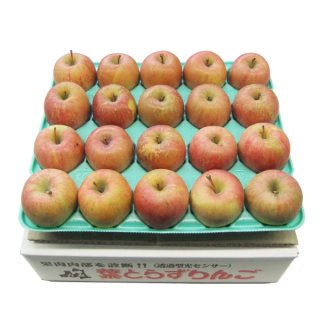 全商品 - りんごの青研