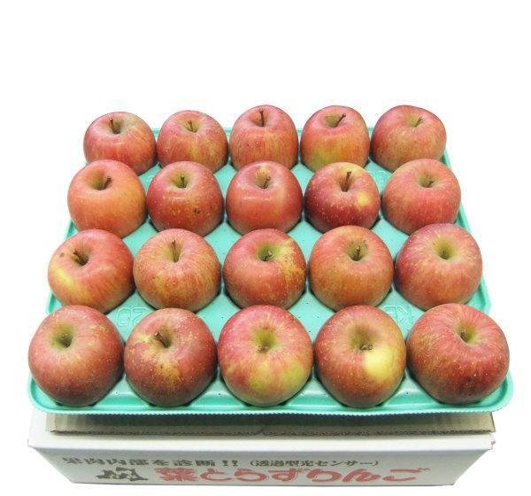 画像7: 2025年産_家庭用りんご / 包装不可 (7)