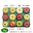画像1: 2025年産りんご食べ比べセット（家庭用） (1)
