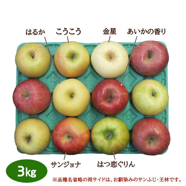 画像1: 2025年産りんご食べ比べセット（家庭用） (1)