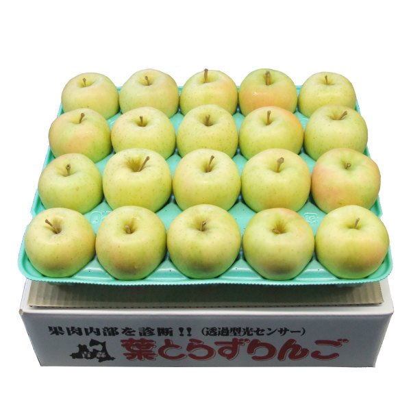 画像3: 2025年産_家庭用りんご / 包装不可 (3)