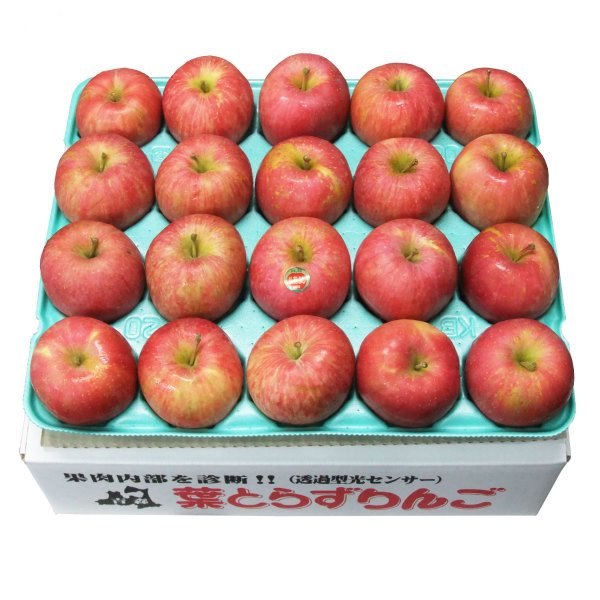 画像2: 2025年産_家庭用りんご / 包装不可 (2)