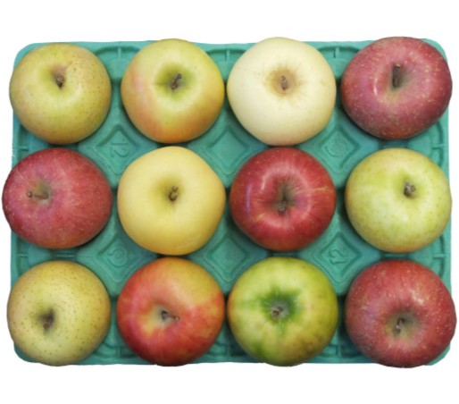 りんご食べ比べセット販売のご案内