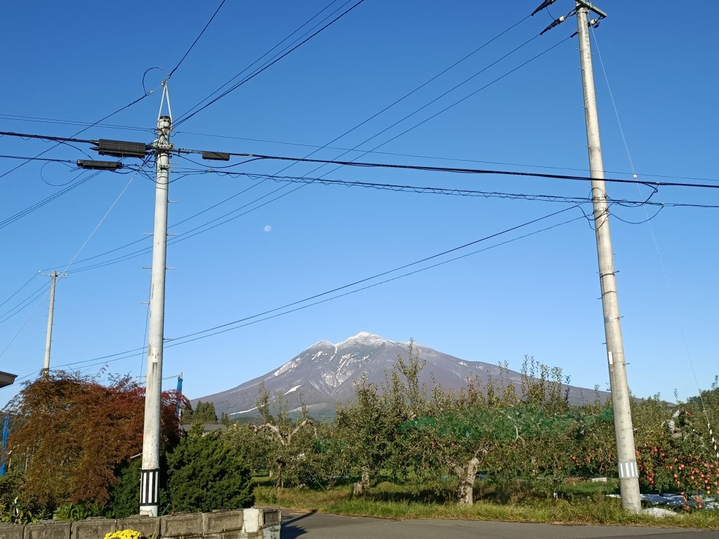 本日は快晴です